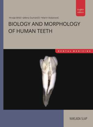 BIOLOGY AND MORPHOLOGY OF HUMAN TEETH
